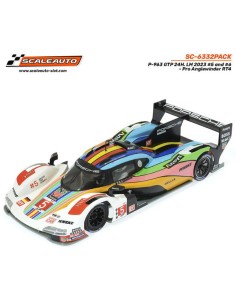 P-963 GTP 24H. LM 2023 num.5 and num.6 - Pro Anglewinder RT4 2